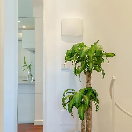 Appartement Verga *